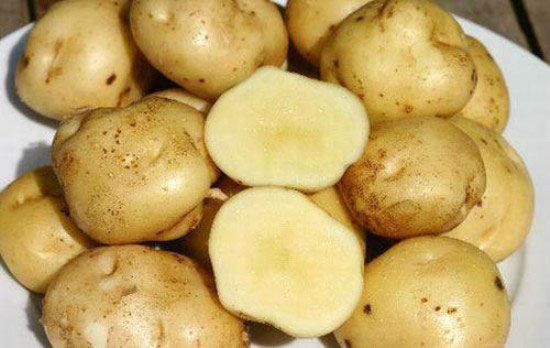 5 ‘không’ khi ăn khoai tây để ít nguy hại với sức khỏe