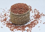 Thực hư gạo “dược liệu “ chữa đc bệnh ung thư