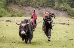 Bộ tộc chật vật giữ nếp sống cổ xưa ở Bhutan