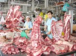 TP. Hồ Chí Minh triển khai soi thịt heo sạch bằng smartphone