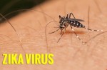Thêm 1 bệnh nhi nhiễm virus Zika