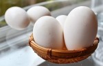 Sự thật ăn trứng ngỗng sẽ giúp con thông minh hơn?