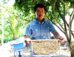 Bán mật ong non, doanh nghiệp Việt bị nhiều thị trường cảnh báo