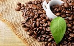 100-quan-cafe-cua-highlands-coffee-va-van-hoa-ca-phe-cua-nguoi-viet-hien-dai
