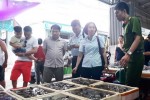 Thanh Hóa: Phát hiện 2 cơ sở bơm tạp chất độc hại vào tôm để bán cho khách du lịch