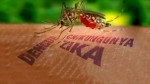 virus-zika-co-the-nhan-ban-trong-nao-tre