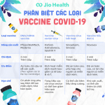 phan-ung-sau-tiem-vaccine-covid-19-tai-viet-nam-thap-tuong-duong-khuyen-cao-nguoi-dan-can-binh-tinh