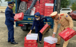 Quảng Ninh tạm giữ 1,2 tấn quả lựu tươi nhập lậu đã có hiện tượng héo, thối