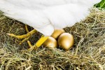 'Gà đẻ trứng vàng' giúp Việt Nam kiếm gần 40 tỷ USD trong 8 tháng, cả năm ngoái thu hơn 55 tỷ USD