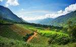 5 điều tuyệt vời khi du lịch Việt Nam trong mắt du khách nước ngoài