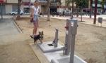 Nhà vệ sinh công cộng cho chó đầu tiên trên thế giới