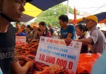 Chọi trâu Đồ Sơn 2015: Nghìn người chen chúc bỏ tiền triệu mua thịt trâu chọi