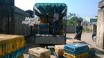 Xuất gà thải sang VN, Trung Quốc lùng mua gà Việt