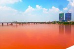 Hà Nội: Nước sông Hồng bất ngờ chuyển sang màu đỏ quạch