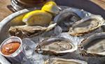 Nguy cơ nhiễm khuẩn khi ăn hải sản sống
