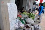 Hàng tấn nông sản Đà Lạt với giá rẻ như cho trên đường phố Sài Gòn