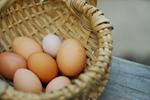 Những lý do nên ăn trứng thường xuyên
