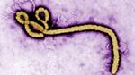 Bệnh nhân nghi nhiễm Ebola tại Singapore chỉ là báo động giả