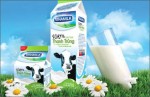 Hướng dẫn phân biệt sữa tươi thật và giả, cách phân biệt sữa Vinamilk chính hãng