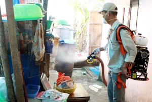 Việt Nam có muỗi truyền bệnh Zika 
