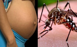 Báo động virus Zika: Hơn 11.000 trường hợp nhiễm bệnh tại Colombia
