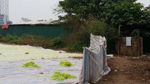 Làm mứt sát nhà vệ sinh công cộng bốc mùi xú uế ở Xuân Đỉnh, Hà Nội