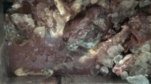 Phát hiện 200kg thịt trâu bò ‘thối inh ỏi’ được cất giữ suốt 2 năm