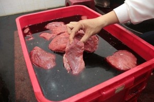 Heo nái giả thịt bò chứa đầy vi sinh gây bệnh