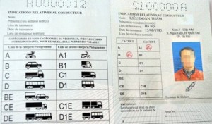 TP.HCM: Nhận bằng lái xe quốc tế sau 5 ngày nộp hồ sơ