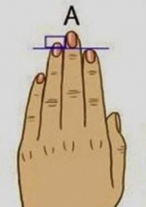 Độ dài ngón tay tiết lộ tính cách của bạn