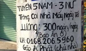 Giữ nhà thuê trong ngày tết ở Sài Gòn