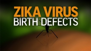 Những dấu hiệu đầu tiên khi nhiễm vi-rút Zika