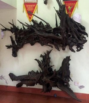 Những thú chơi “đốt tiền” ngày Tết của đại gia Việt