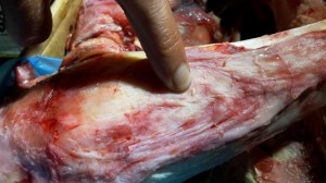 Thịt trâu Ấn Độ 'bẩn' về Việt Nam thành thịt bò hảo hạng
