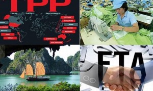 Việt Nam cần tận dụng gì sau khi tham gia TPP?