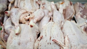 100% gà Trung Quốc nhập vào Việt Nam là trái phép