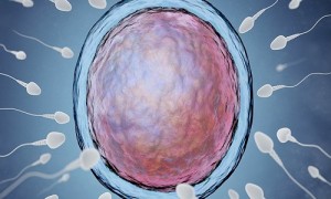 Van khóa tinh trùng có thể tạo đột phá trong phòng tránh thai