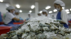 Bộ Công Thương thông tin về mặt hàng tôm Việt Nam tại Ả-rập Xê-út