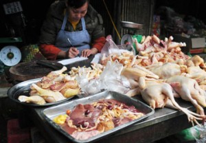 Việt Nam chưa hề mở cửa cho gà Trung Quốc nhập vào