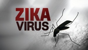Làm sao biết đã bị nhiễm virus Zika và cách phòng tránh căn bệnh này