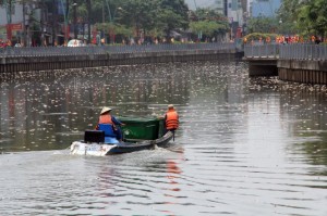 Cá tiếp tục chết trắng kênh Nhiêu Lộc - Thị Nghè