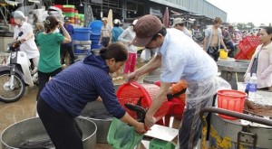 Phát hiện nhiều thủy sản ở chợ đầu mối Bình Điền có chất cấm