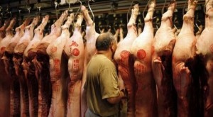 Trung Quốc chìm sâu trong cuộc khủng hoảng thịt lợn vì giá tăng kỷ lục