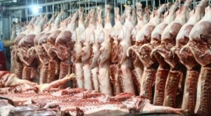 Trung Quốc ngưng mua heo, nguy cơ dội chợ