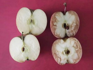 Bức ảnh 2 quả táo và bài học đắt giá mọi cha mẹ Việt phải dạy con