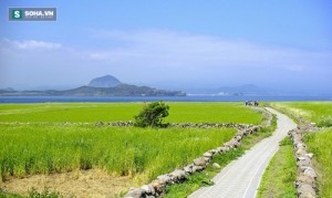 Hàn Quốc xây dựng đảo không có khí thải carbon đầu tiên trên TG