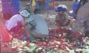 Nhiều công nhân đang ăn rau nhặt từ bãi rác