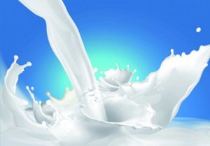 Nguy cơ tử vong vì uống sữa tươi chưa tiệt trùng