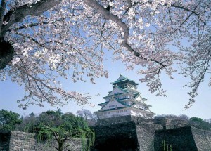 Kỳ 1: Thành cổ Osaka - dấu tích của một ngôi cổ tự
