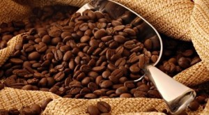 Xuất khẩu cà phê giảm vì thời tiết hạn hán